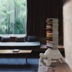 Turtle Carry Bookcase