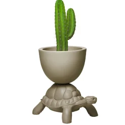 Turtle Carry Planter and Champagne Cooler