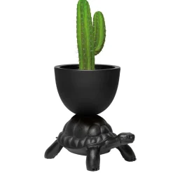 Turtle Carry Planter and Champagne Cooler