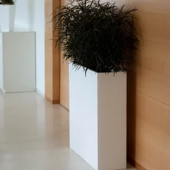 Vela Wall Planter