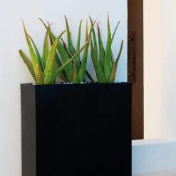 Vela Wall Planter