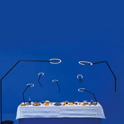 Vine Light Table